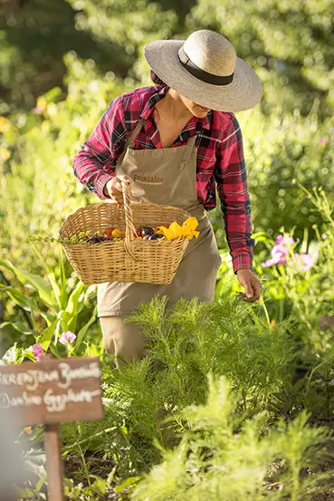 Mujer recolectando de la huerta de Postales del Nunca Jamás.