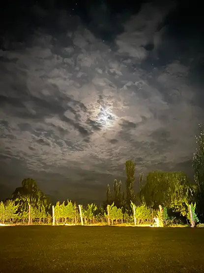 Foto nocturna de la finca de Postales del Nunca Jamás.